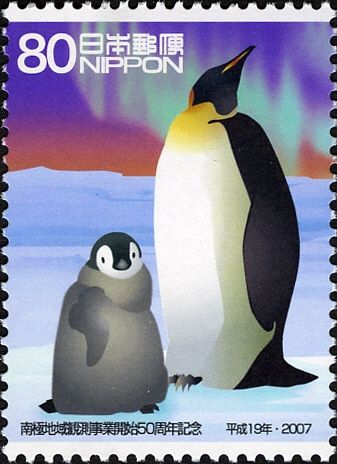 Emperor Penguin (Aptenodytes forsteri)