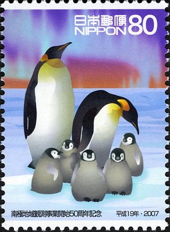 Emperor Penguin (Aptenodytes forsteri)