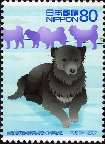 Jiro & Taro, Sakhalin Husky Dog (Canis lupus familiaris)
