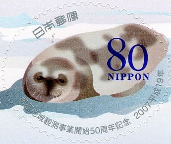 Weddell Seal (Leptonychotes weddelli)
