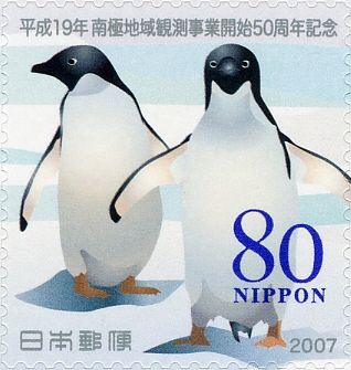Adelie Penguin (Pygoscelis adeliae)