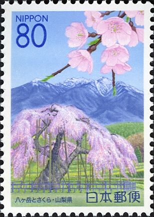 Yatsugatake Mountains & Cherry Blossom