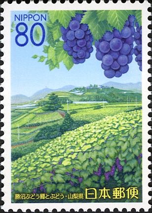 Katsunuma Vineyard & Grapes