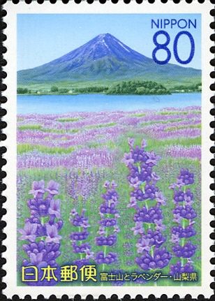 Mount Fuji & Lavender