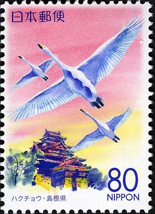 Whooper Swan (Cygnus cygnus) & Matsue Castle - Shimane Pref.