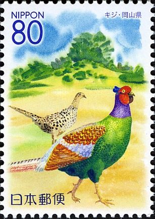 Green Pheasant (Phasanius versicolor) & Okayama Korakuen - O