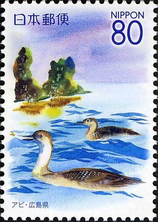 Red-throated Loon (Gavia stellata) & Sea Side - Hiroshima Pr