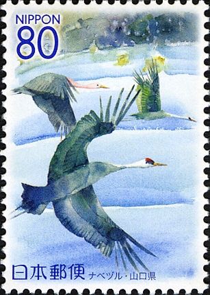 Hooded Crane (grus monacha) - Yamaguchi Prefecture