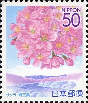 Cherry Blossom in Nagatoro - Saitama Prefecture