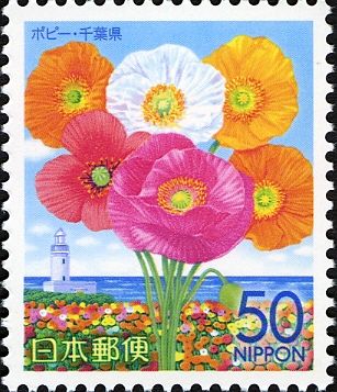 Poppies & Boso Peninsula - Chiba Prefecture