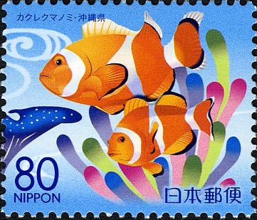 Ocellaris Clownfish (Amphiprion ocellaris)