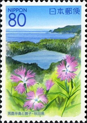 Oga Peninsula & Fringed Pink - Akita Prefecture
