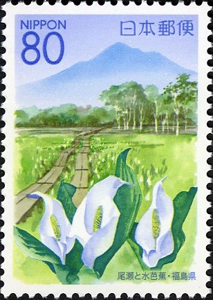 Oze National Park & White Skunk Cabbage - Fukushima