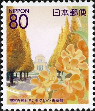 Fragrant Olive & Gingko Avenue in Meiji Jingu Gaien Park