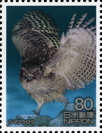 Blackiston's Fish Owl (Bubo blakistoni)