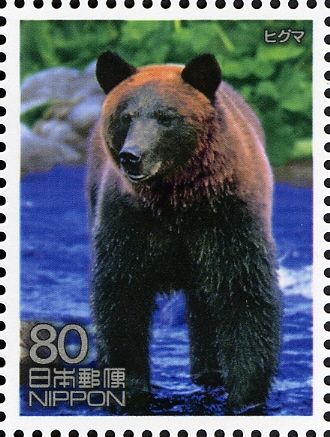 Brown Bear (Ursus arctos)