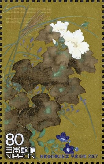Hibiscus