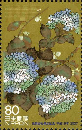 Hydrangea 