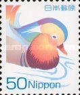 Mandarin Duck (Aix galericulata)