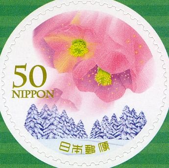 "Christmas Rose" by Sonoko Arai