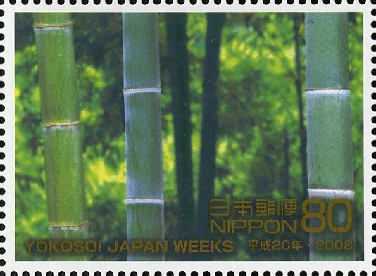 Bamboo Grove