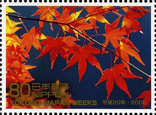Maple Leaves