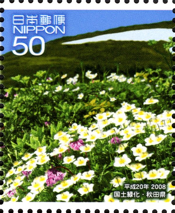 Geum pentapetalum & Mount Moriyoshi - 1