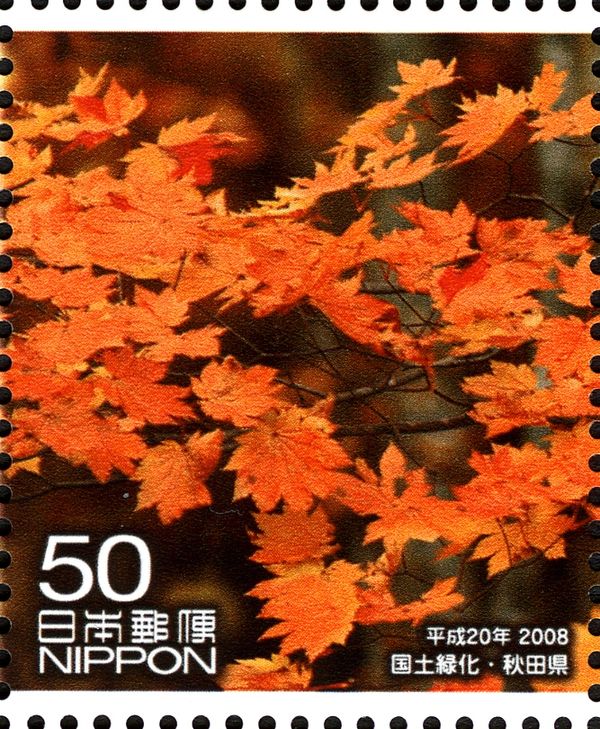 Autumn leaves - 1