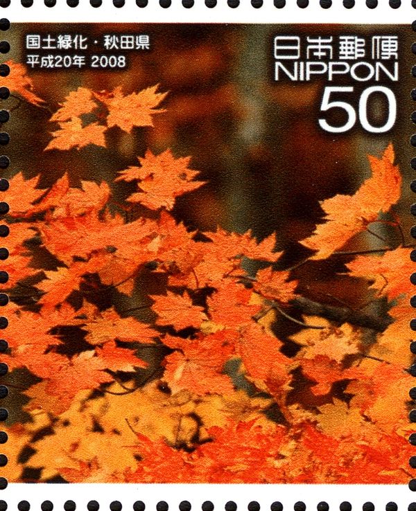 Autumn leaves - 2