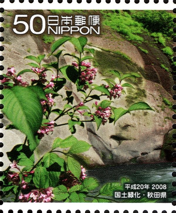 Sankai Falls & Weigela - 1 