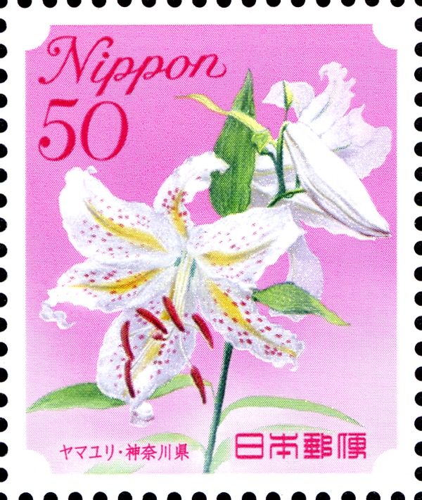 Gold Band Lily - Kanagawa Prefecture