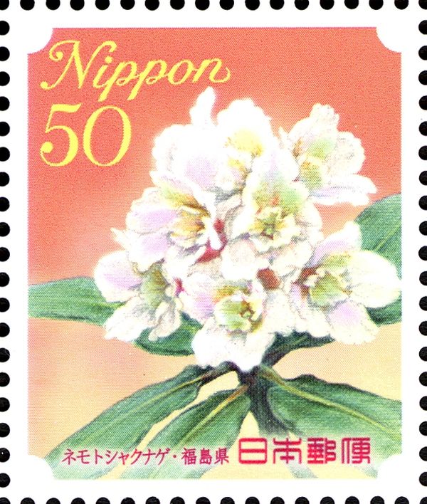 Rhododendron - Fukushima Prefecture