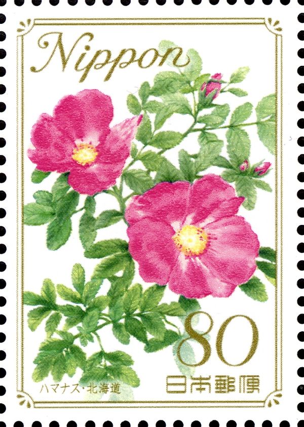 Rugosa Rose - Hokkaidō Prefecture