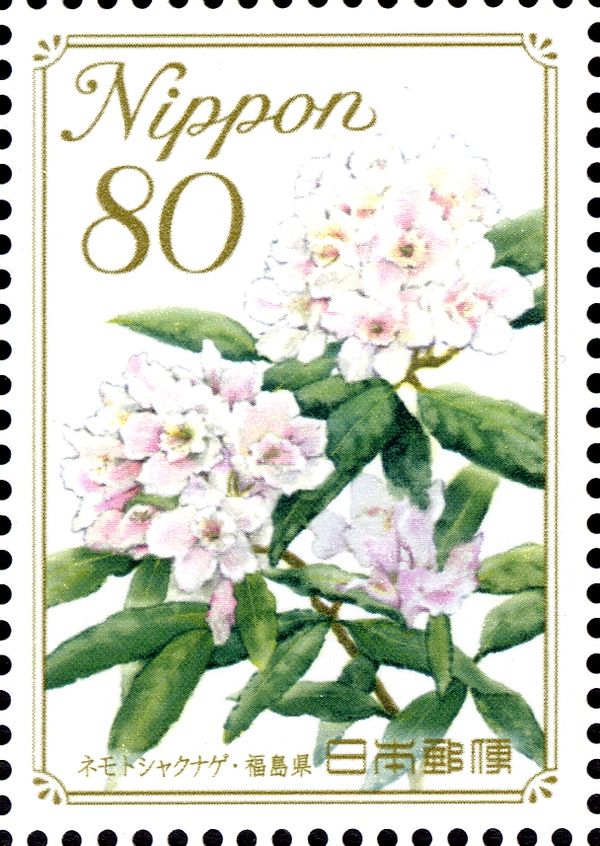 Rhododendron - Fukushima Prefecture