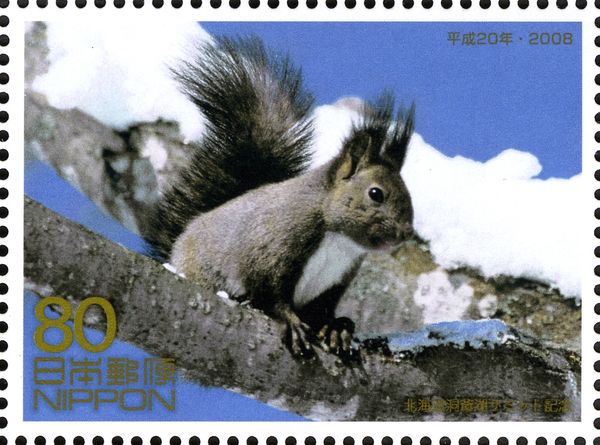 Japanese Squirrel (Sciurus lis)