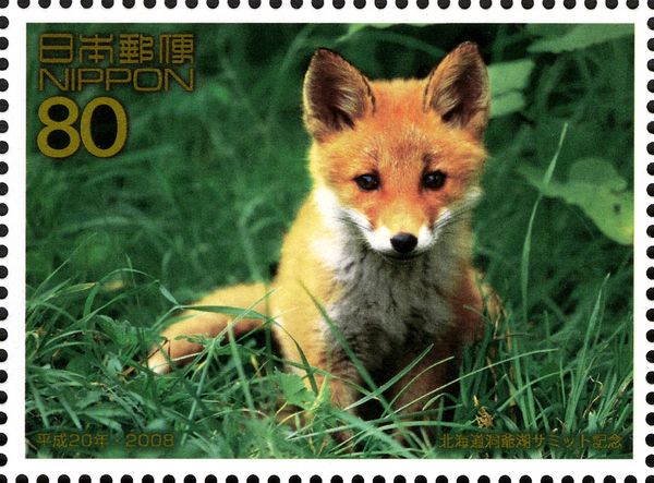 Hokkaidō Red Fox
