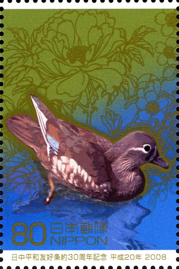 Mandarin Duck (Aix galericulata) - female, & Peony