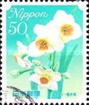 Narcissus - Fukui Prefecture