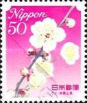Pink Plum Blossom - Wakayama Prefecture
