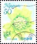 Japanese Butterbur (Petasites japonica) - Akita Prefecture