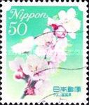 White Plum Blossom - Fukuoka Prefecture