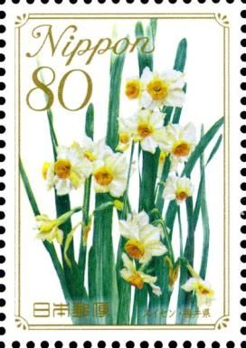 Narcissus - Fukui Prefecture