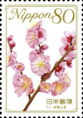 Pink Plum Blossom - Wakayama Prefecture