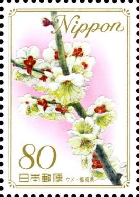 White Plum Blossom - Fukuoka Prefecture