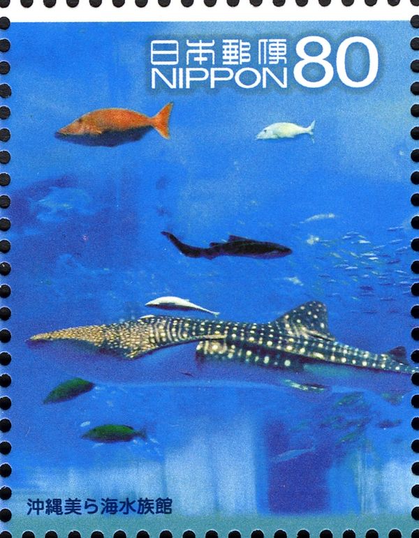 Whale Shark (Rhincodon Typus), Different Fish