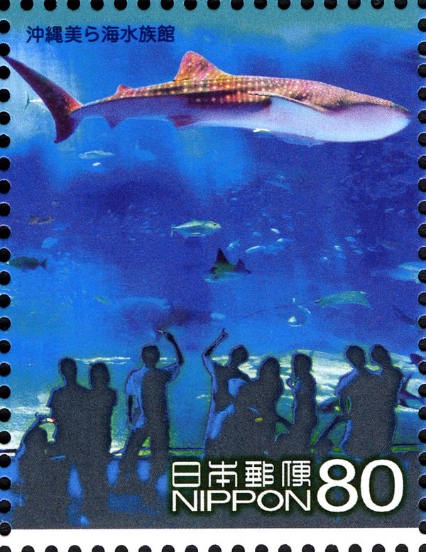 Whale Shark (Rhincodon Typus), Different Fish