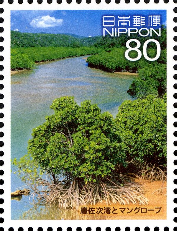 Gesashi Bay Mangrove Forest