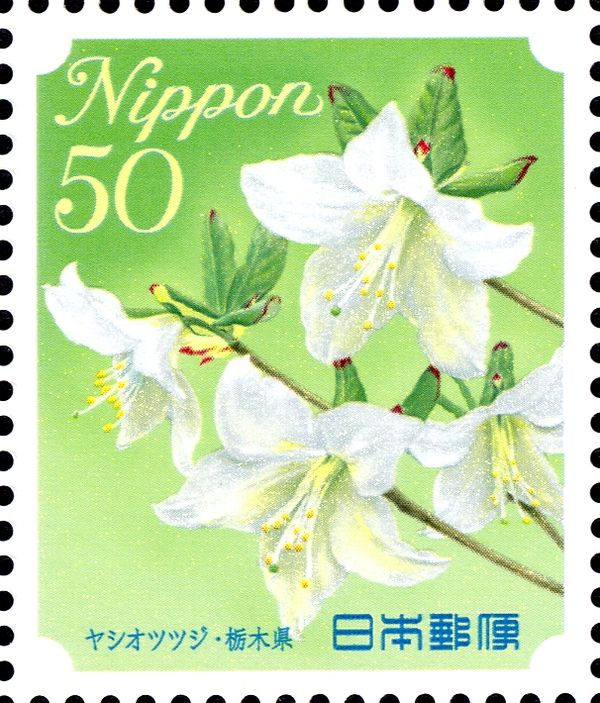 Rhododendron albrechtii - Tochigi Prefecture