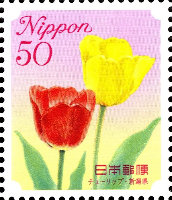 Tulips - Niigata Prefecture