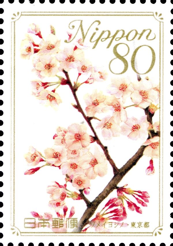 Yoshino Cherry - Tokyo Prefecture